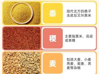 现代五谷杂粮具体指哪些作物？