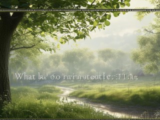 rtr是什么意思？