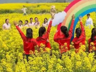 春金集团到底怎么样？