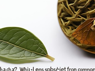 腊茶是茶吗？与普通茶有何不同？