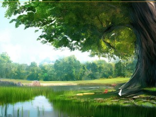 佳美是什么意思？