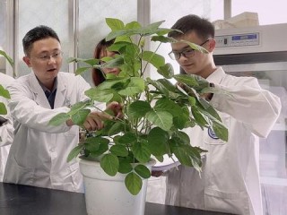 报告编写岗位职责具体包含哪些核心任务？