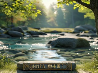 NPA是什么意思？