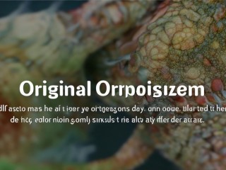 什么是原生生物