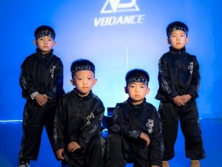 VB有哪些舞蹈类型？