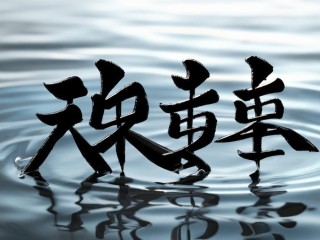 仁泽二字蕴含何种深意？