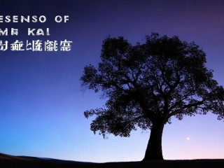 简影具体指什么？