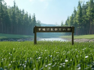 台安是什么意思？