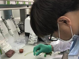 工厂检验岗位职责具体有哪些？