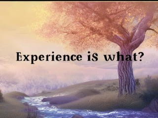 经验究竟是什么？
