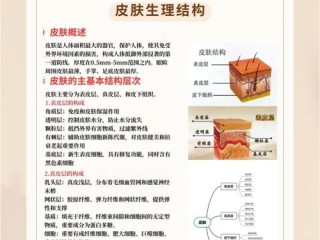 美容馆功能有哪些？