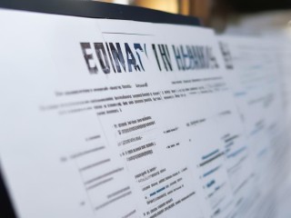 新田公开招聘职位表有哪些岗位？