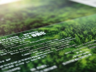 柳州教师招聘何时开始？有何具体要求？