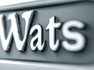 watts是什么意思？