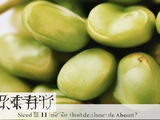 榆钱是啥？名字咋来的？