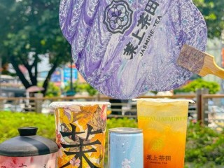 广州奶茶种类多，哪些最值得尝？