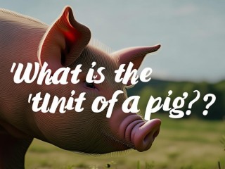 猪的单位到底是什么？