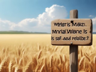 麦子金服是什么？它安全可靠吗？