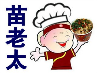 苗老太主打项目有哪些？