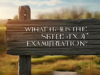 考调究竟是什么？