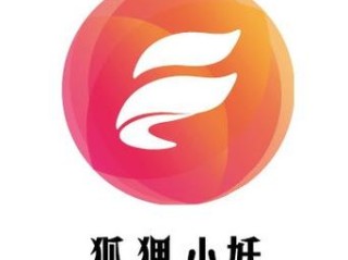 狐狸小妖代理哪些品牌？