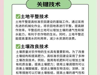 农开办项目具体包含哪些内容？