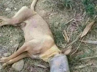 景区哪些东西好卖？