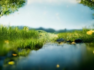 提成几个点具体指什么百分比？