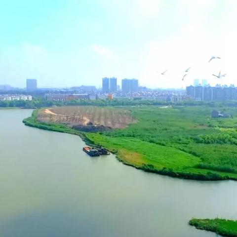 2019年武进区卫生局公开招聘的报名时间、条件和岗位分别是什么？