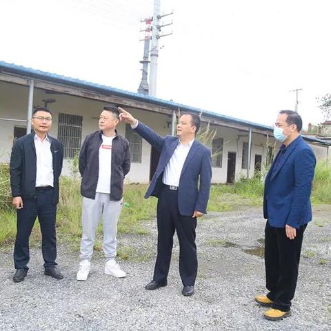 广西百色中小学教师公开招聘的条件及流程有哪些？