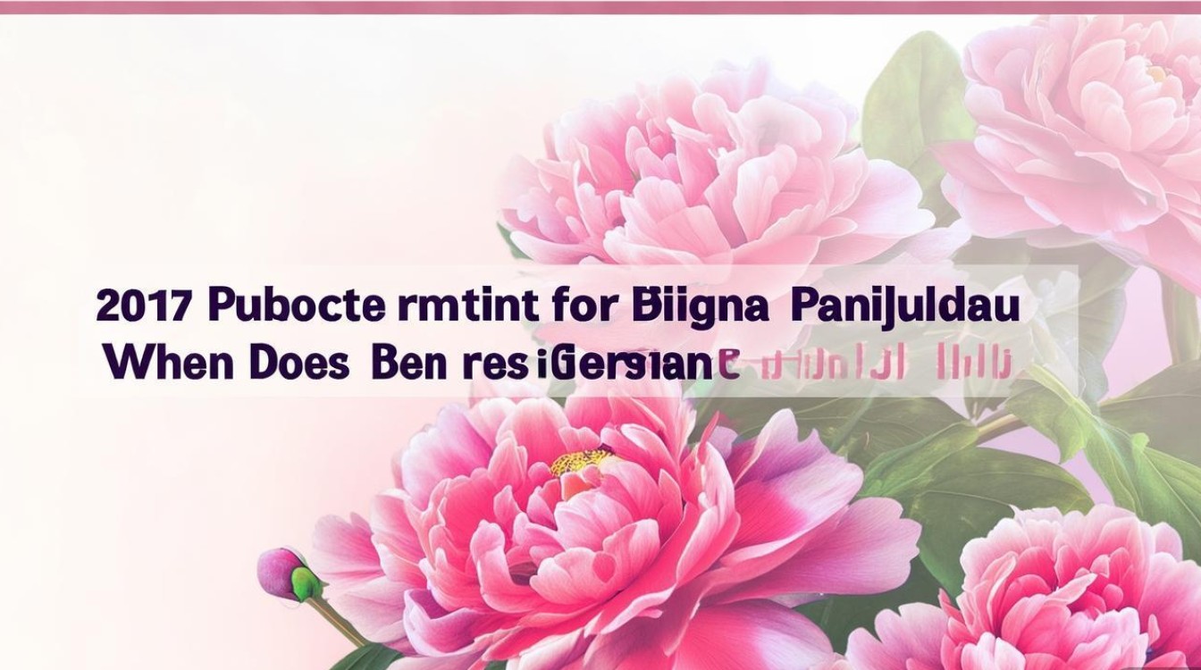 攀枝花2017公开招聘何时开始报名? 攀枝花2017公开招聘何时开始报名?