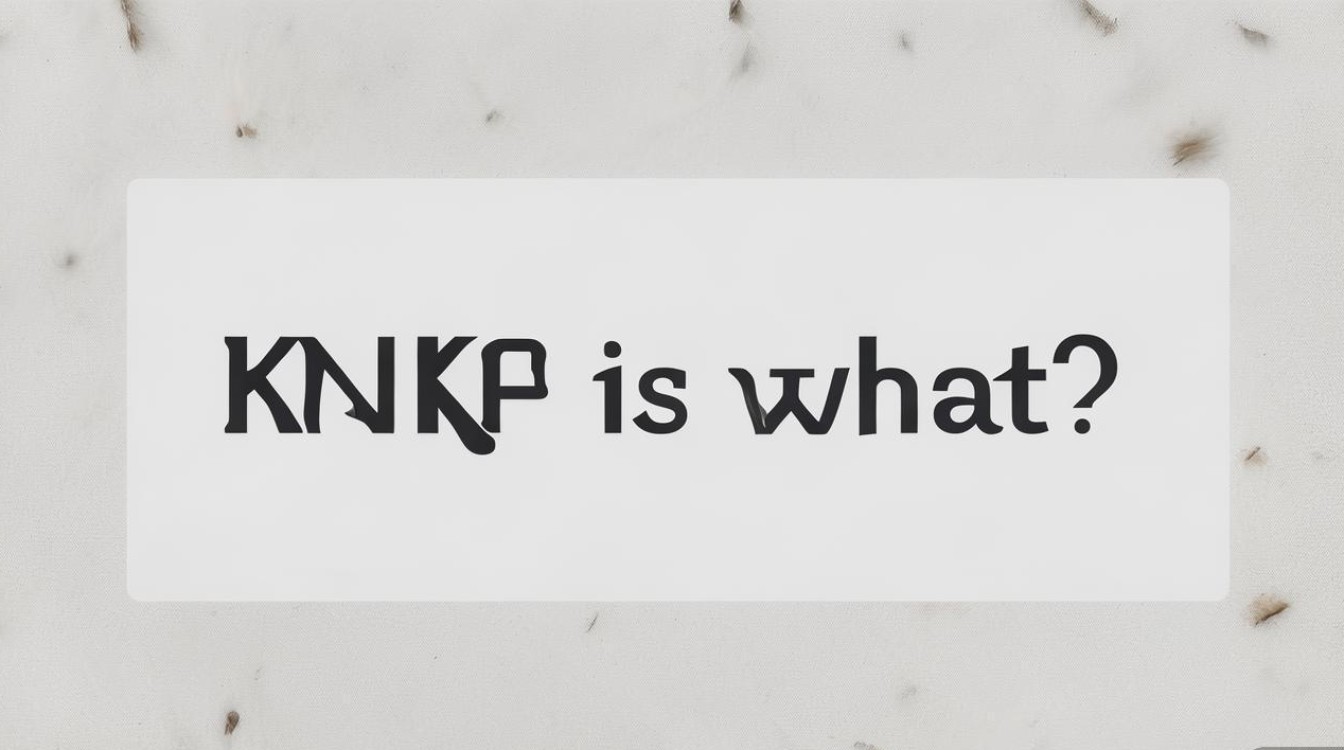 KKR是啥意思? KKR是啥意思?