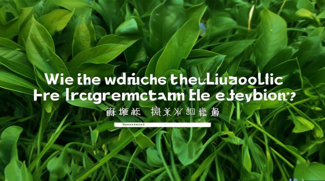 柳州公开招聘考试何时开始报名? 柳州公开招聘考试何时开始报名?