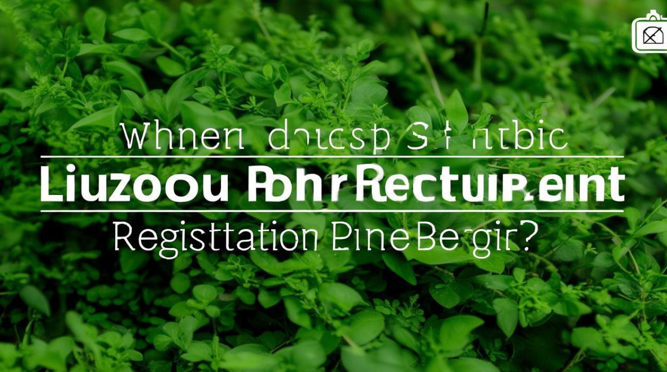 柳州公开招聘考试何时开始报名? 柳州公开招聘考试何时开始报名?