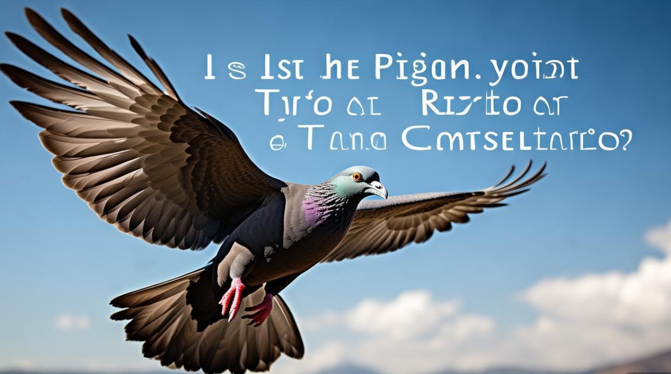 天鸽是台风还是星座?30字内疑问标题,天鸽是台风名还是星座名? 天鸽是台风还是星座?30字内疑问标题,天鸽是台风名还是星座名?