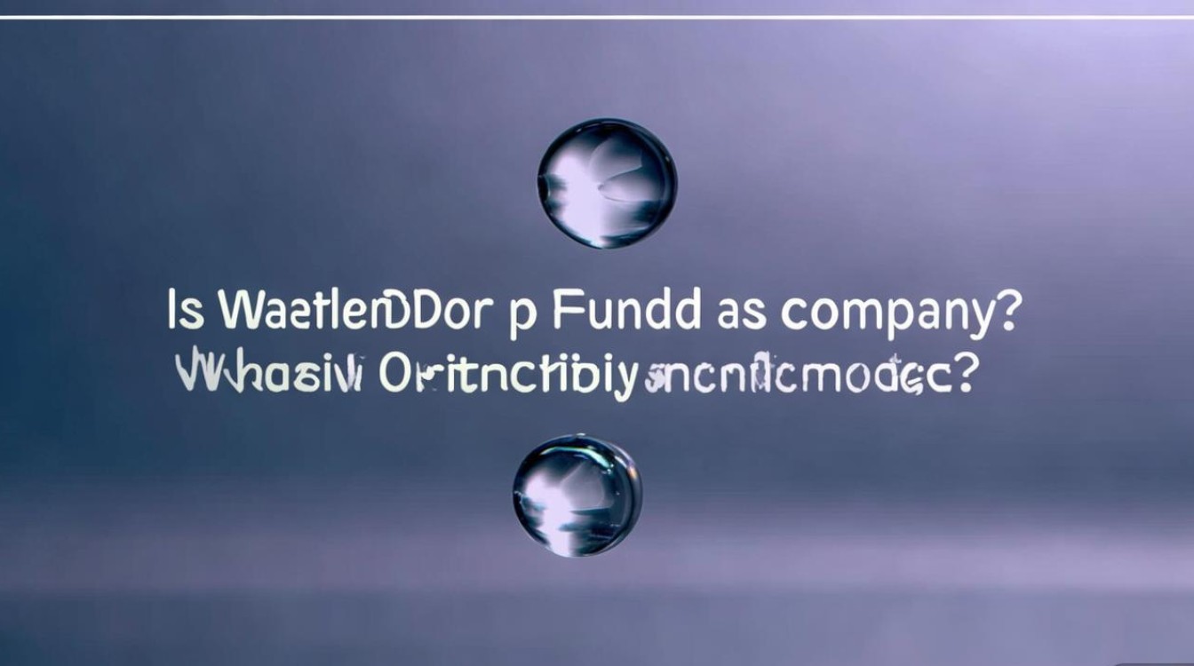 水滴筹是公司吗?其运营模式是怎样的? 水滴筹是公司吗?其运营模式是怎样的?