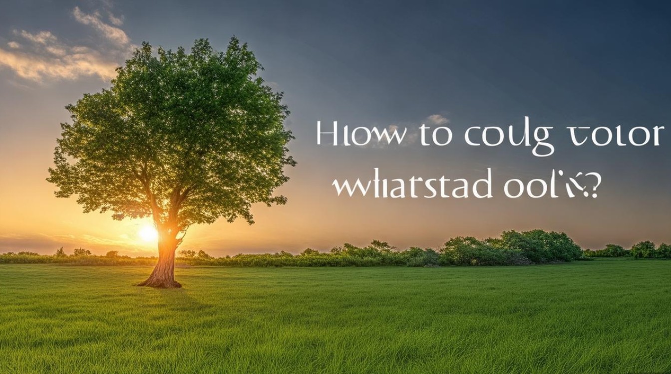 如何取舍才更亮眼? 如何取舍才更亮眼?