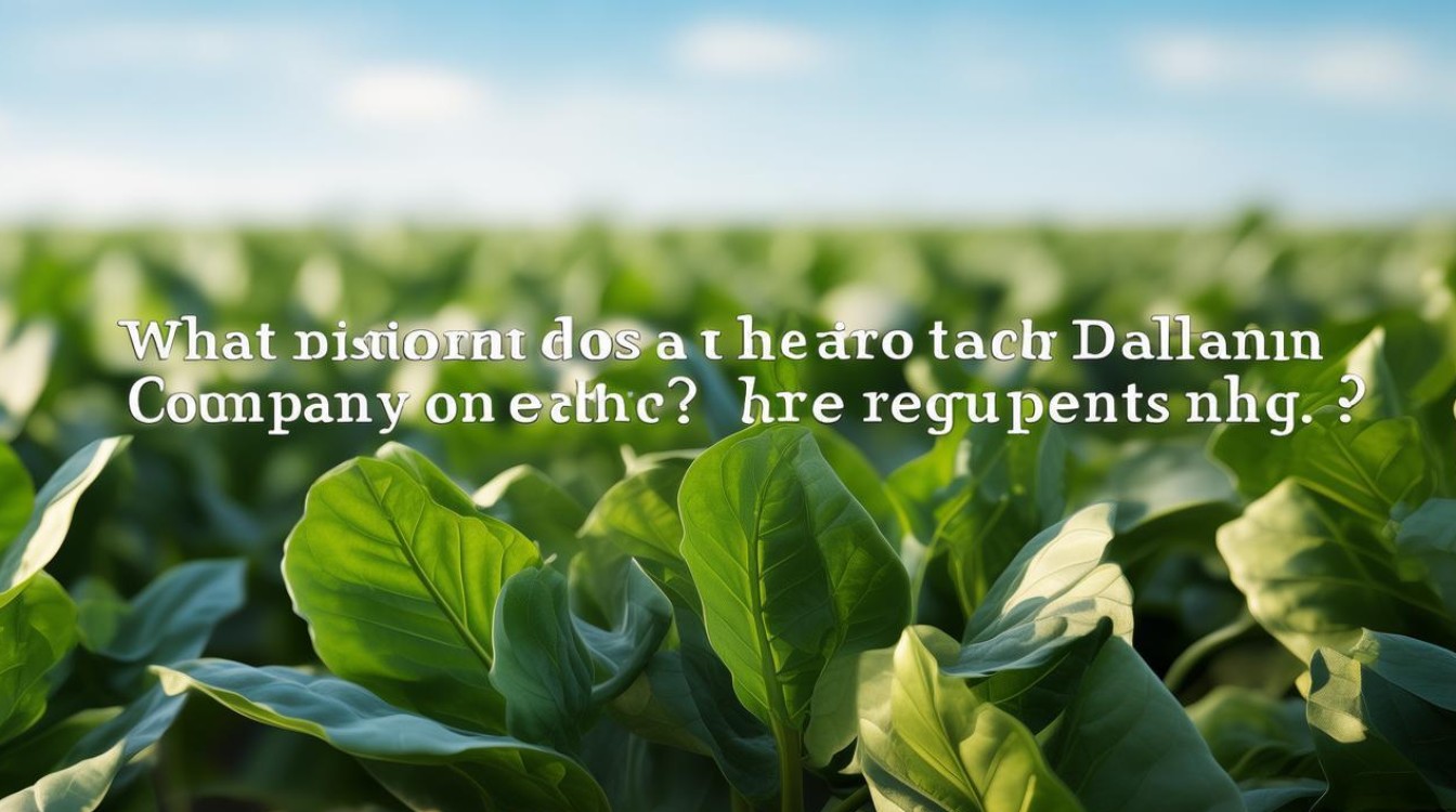 国家烟草大连招聘啥岗位?要求高吗? 国家烟草大连招聘啥岗位?要求高吗?