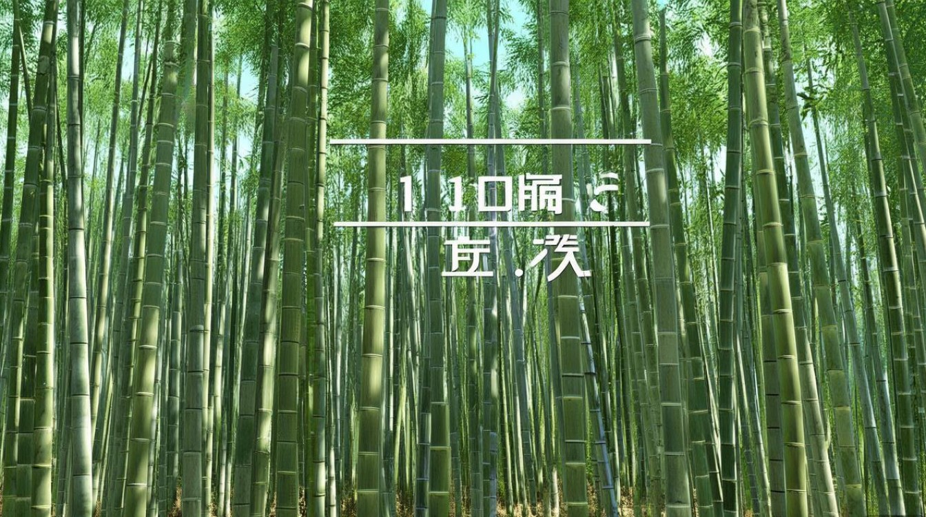 竹山公开招聘148名,具体岗位有哪些? 竹山公开招聘148名,具体岗位有哪些?