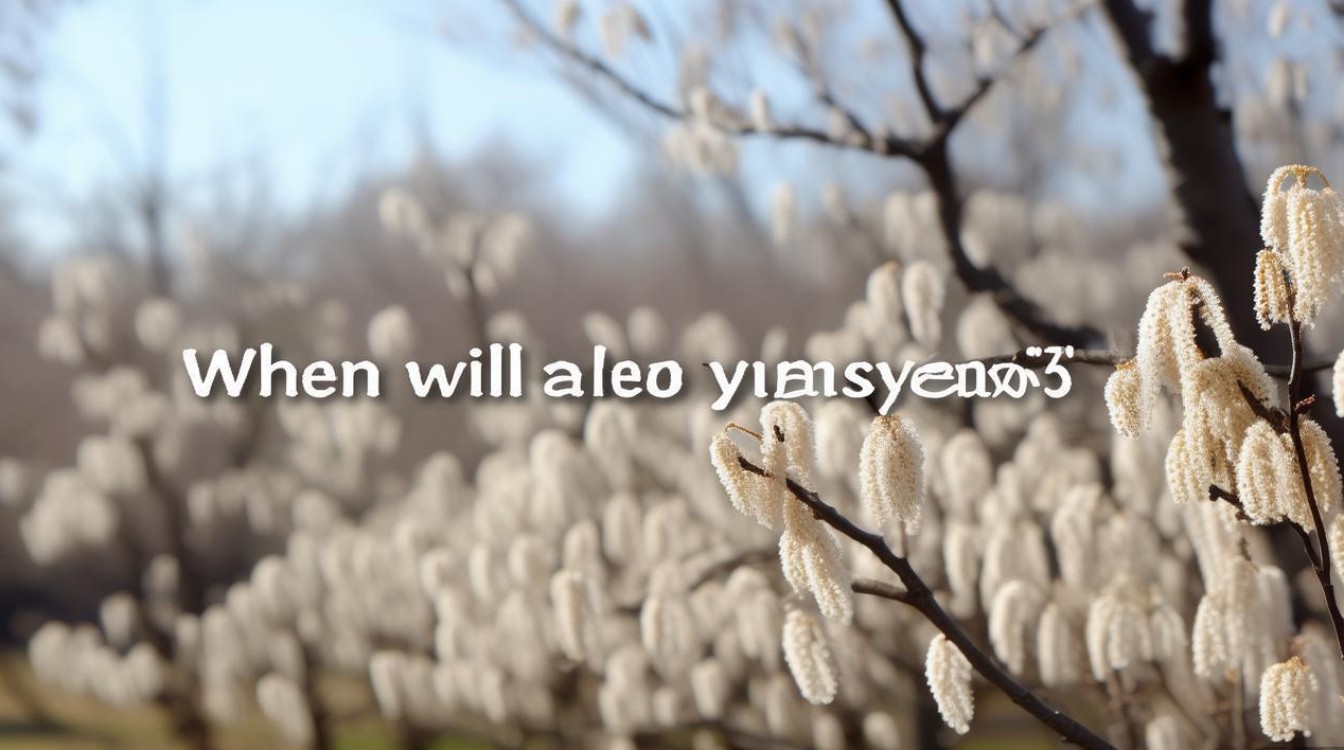 杨絮何时彻底结束? 杨絮何时彻底结束?