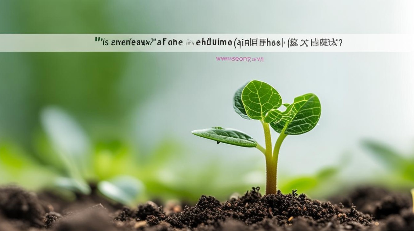 萌牙是萌芽的谐音梗吗？还是另有特殊含义？