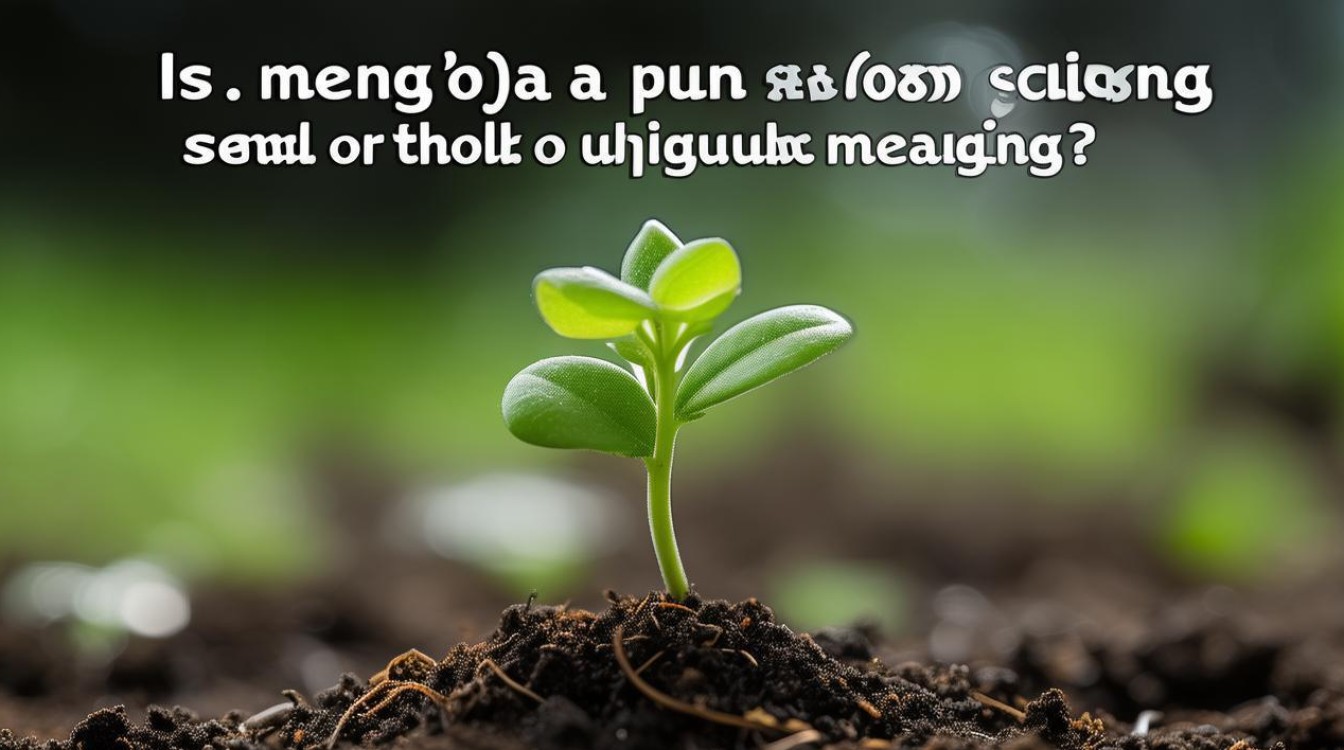 萌牙是萌芽的谐音梗吗？还是另有特殊含义？