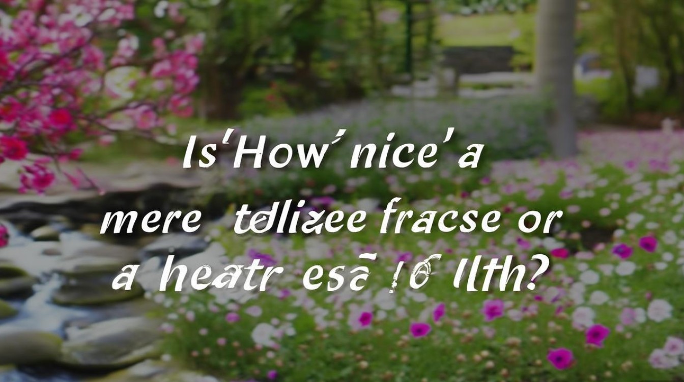 好巧是客套话还是真心话？