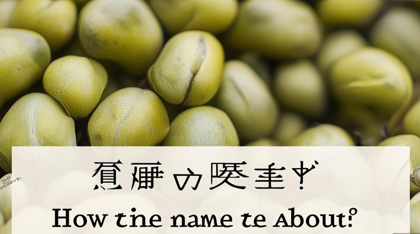 榆钱是啥?名字咋来的? 榆钱是啥?名字咋来的?