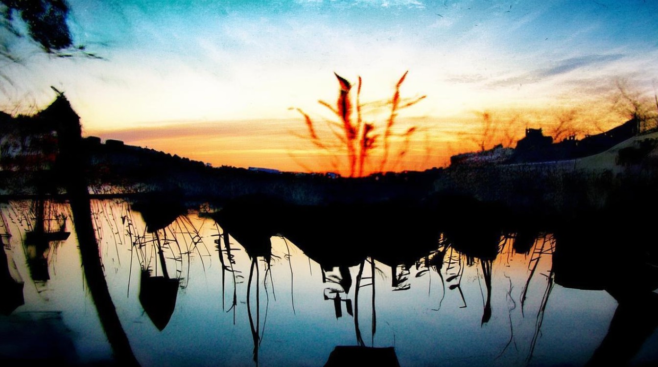 合肥社区公开招聘何时开始报名？