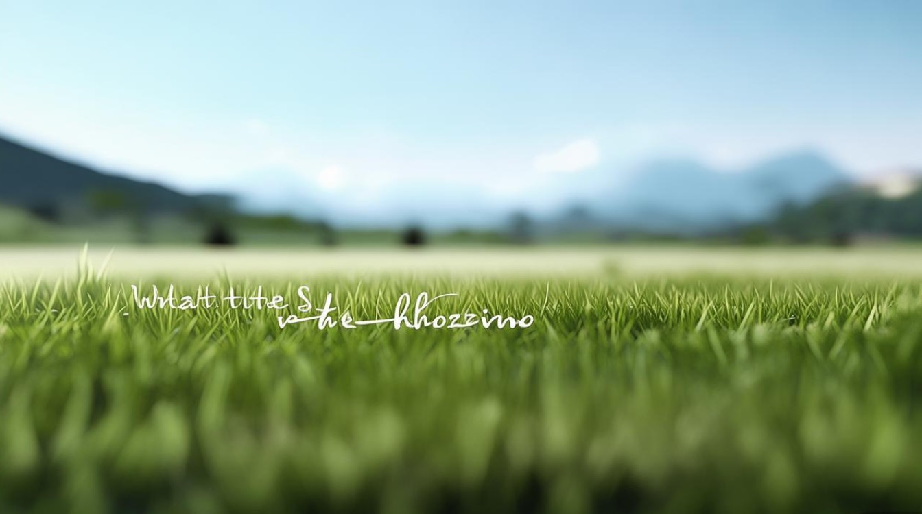 视域究竟指什么? 视域究竟指什么?