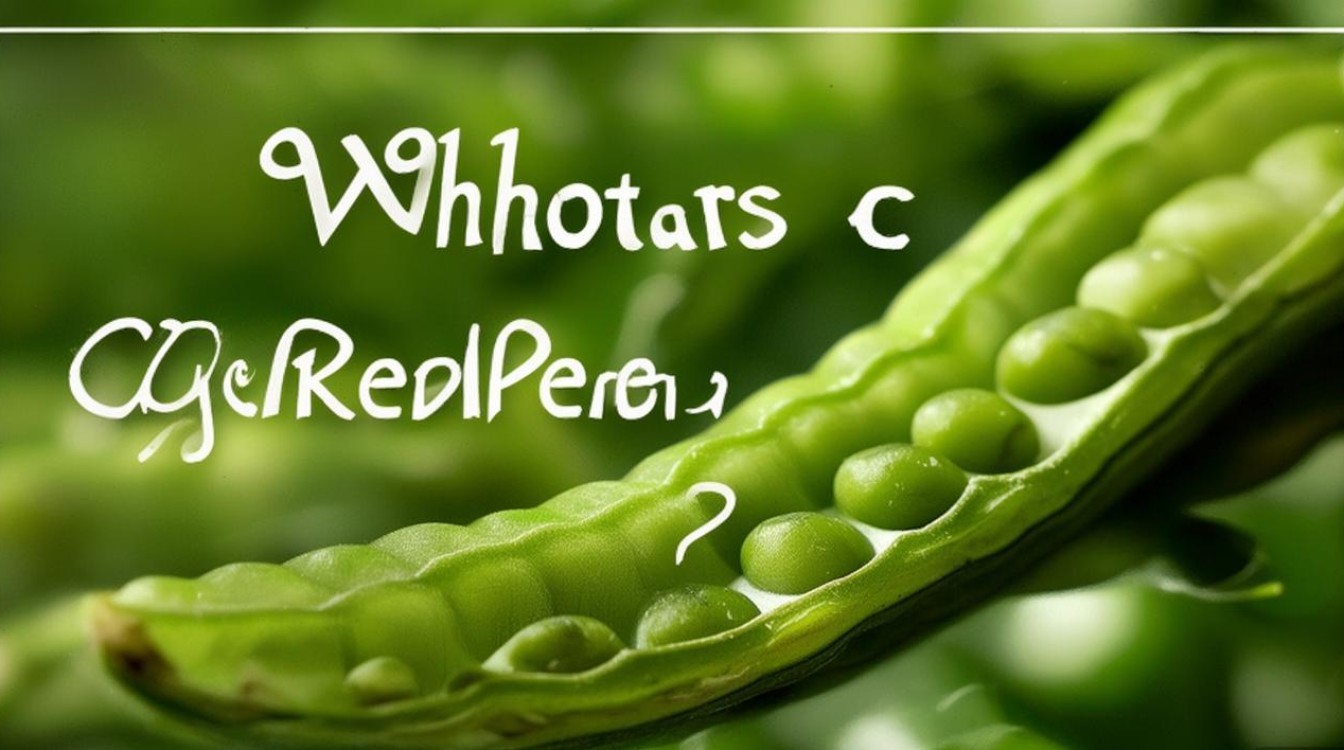 青豆到底是什么？