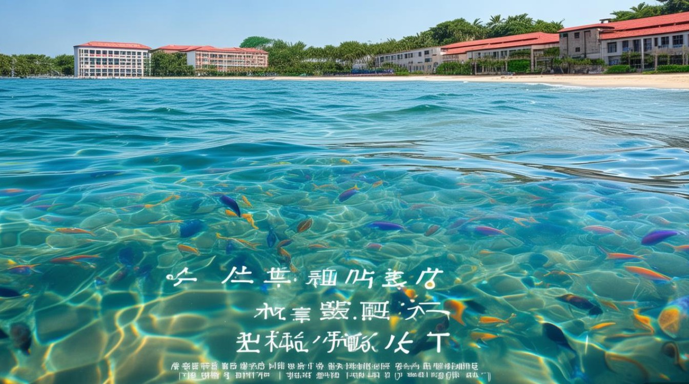 厦门的海是什么海