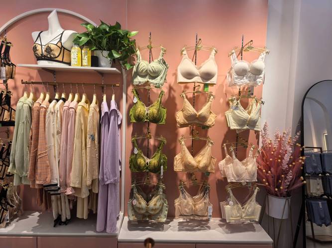 加盟内衣有哪些品牌