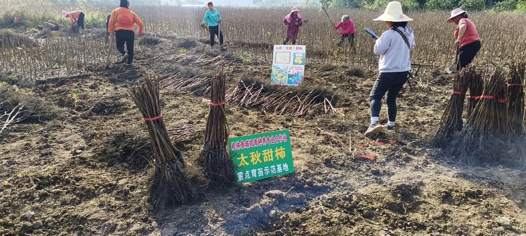 特种致富项目有哪些